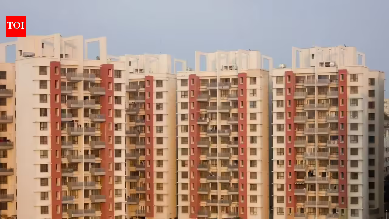 1780362396 photo.jpg