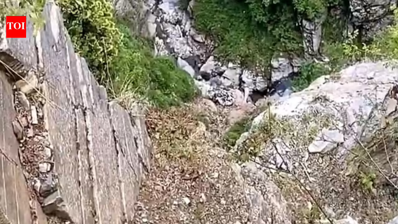 1780769208 photo.jpg