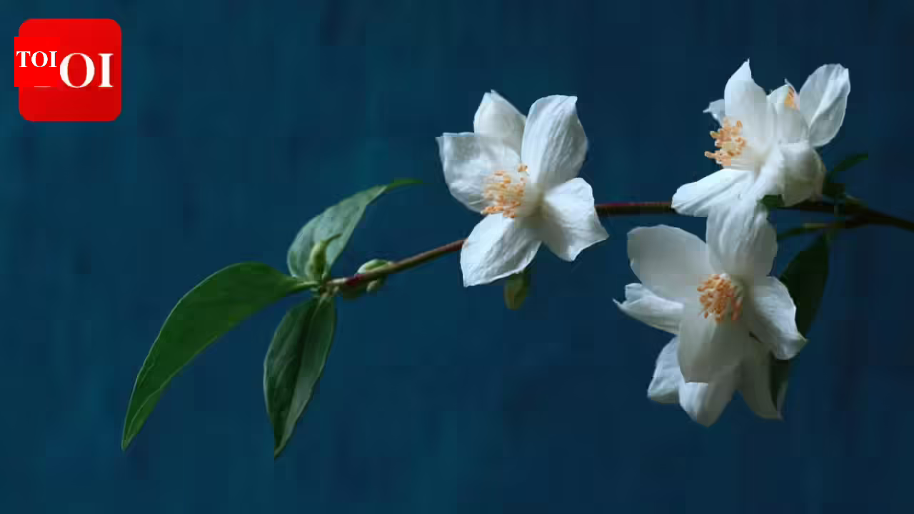 1780985632 photo.jpg