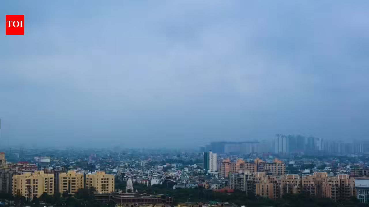 1781731675 photo.jpg