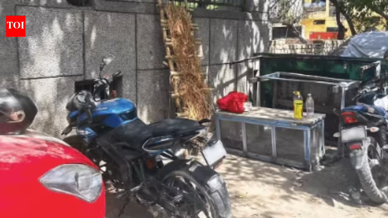 1782094234 photo.jpg