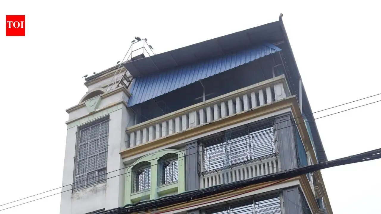 1782330113 photo.jpg