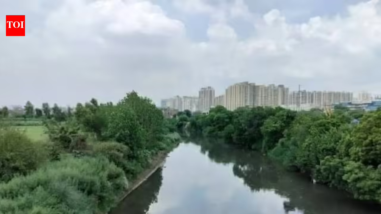 1782640925 photo.jpg