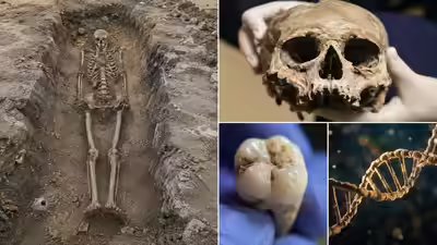400 year old burial in finland uncovers a man whose bones dna and teeth tell conflicting stories.jpg