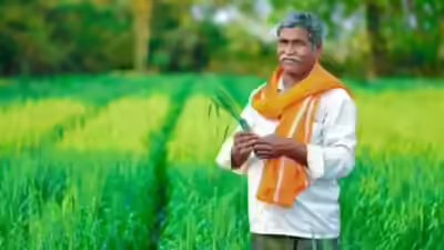 A farmer standing in the field file photo.jpg