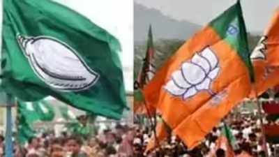 Bjd and bjp 1.jpg