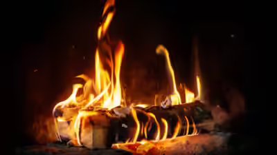 Crooked logs also make straight fires.jpg