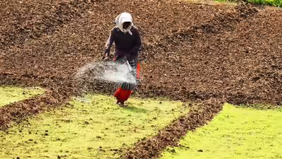 Fertiliser ap farmjpg.jpg