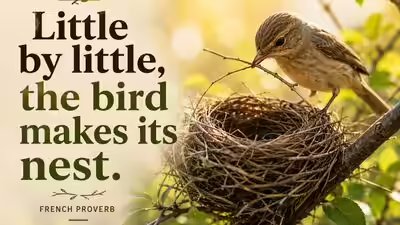 French proverb.jpg