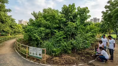 From tokyo to delhi how miyawaki forests are reshaping urban landscapes worldwide.jpg