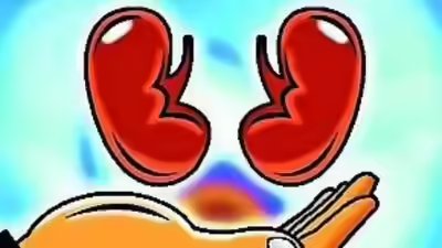 Hospitals told to make public their kidney transplant success rate.jpg