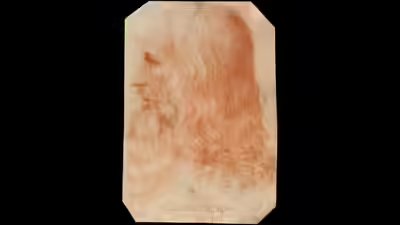 Leonardo da vinci image wikipedia.jpg
