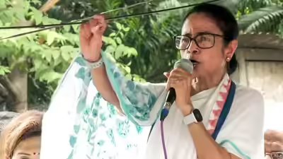 Mamata banerjee ani.jpg