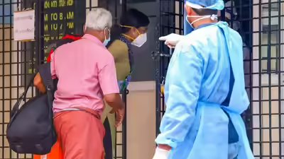 Nipah virus.jpg