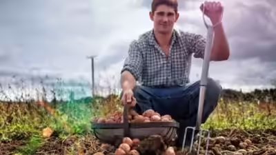 Potato farmer.jpg