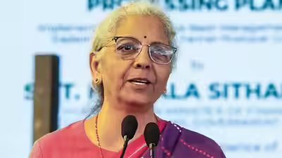 Sitharaman says external aid projects should help northeast products reach global markets.jpg