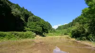 1280720 2026 07 17t150242149.jpg