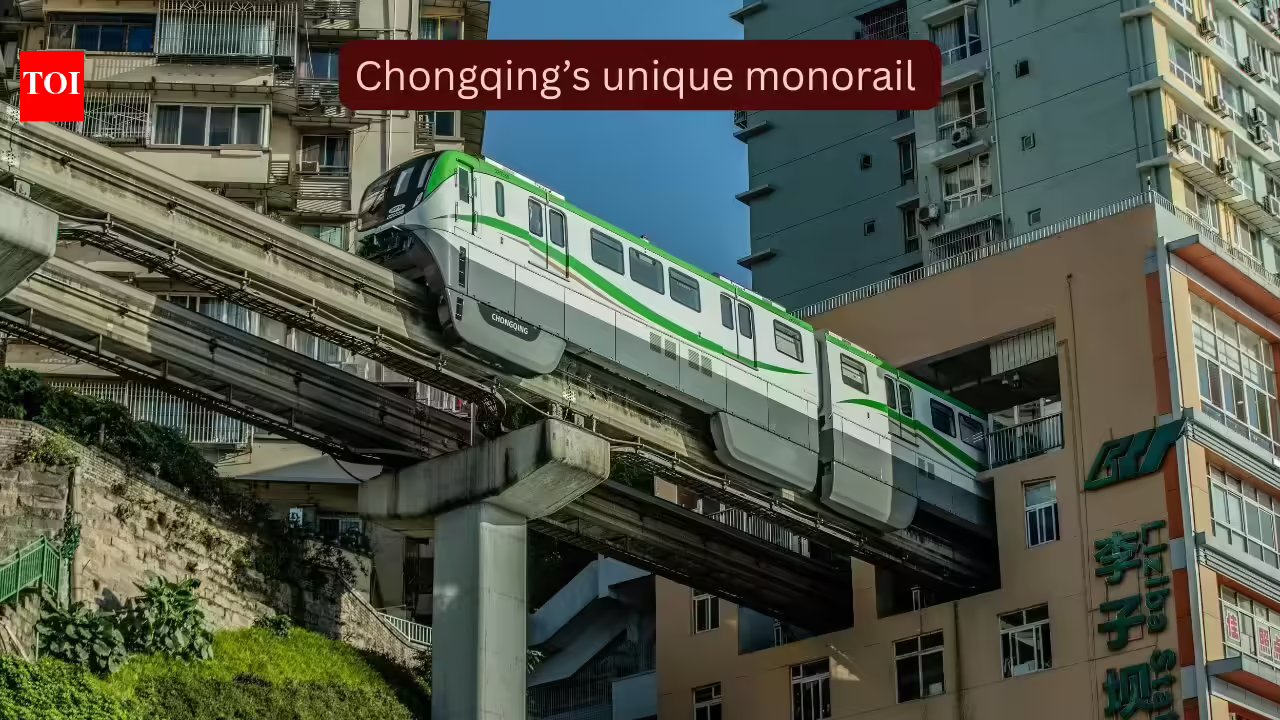 1784808203 photo.jpg