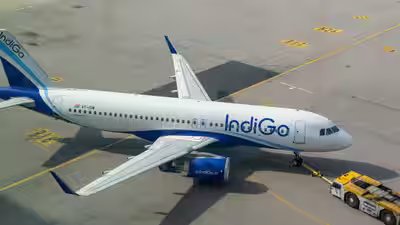 1784916203 indigo.jpg