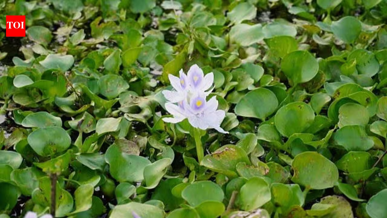 1784977238 photo.jpg