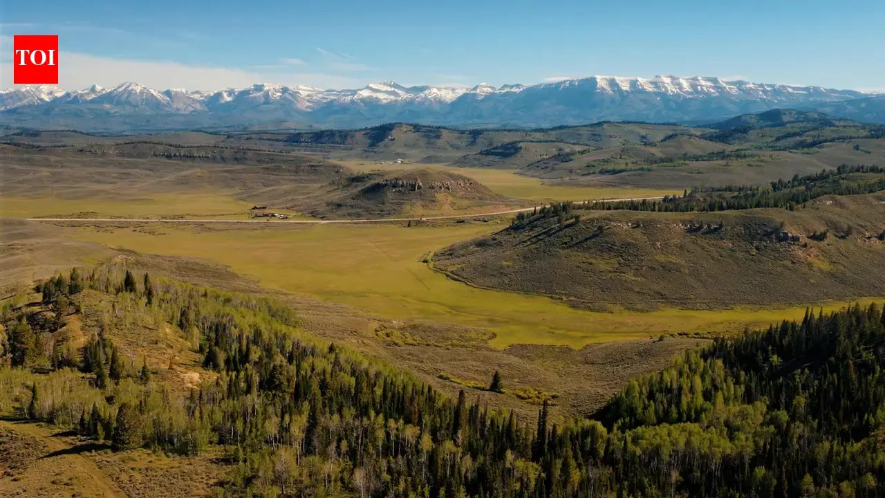 1785001231 photo.jpg