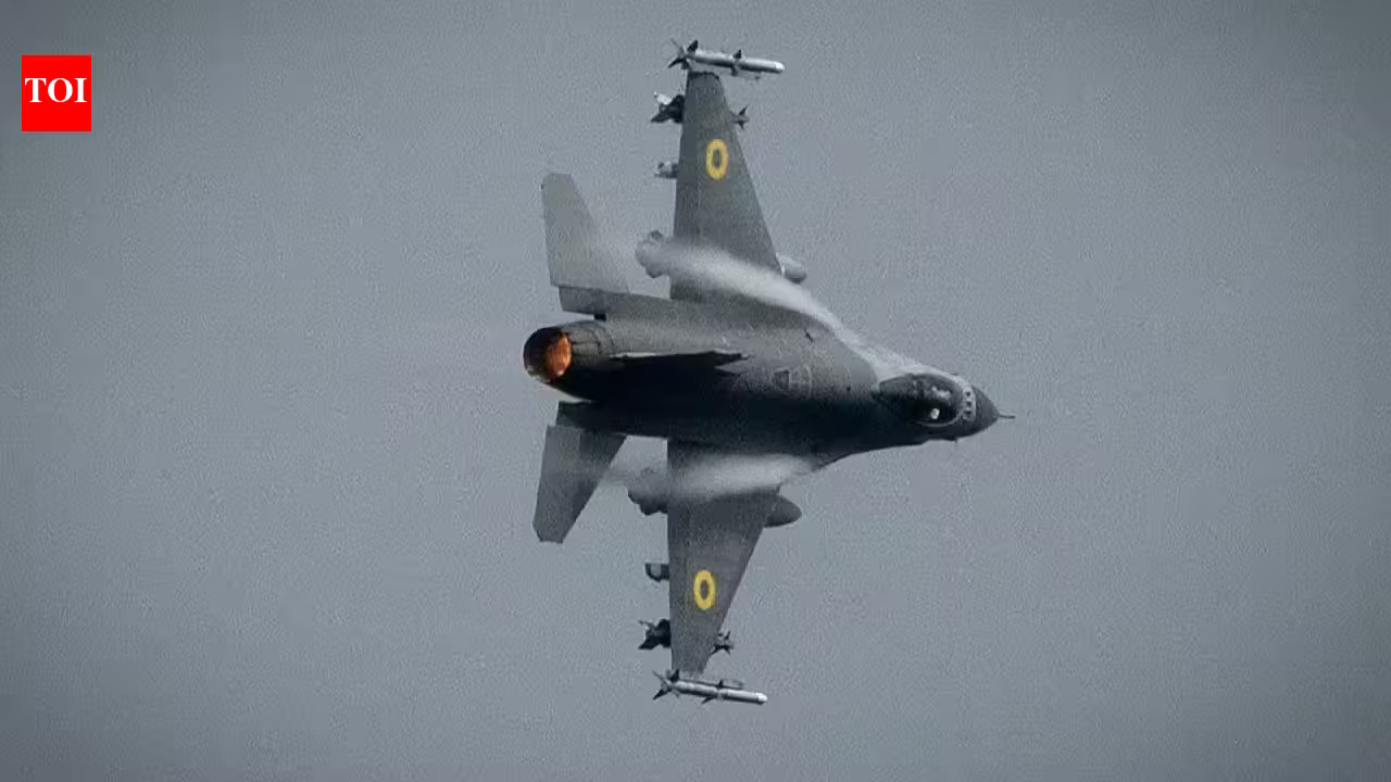 1785391629 photo.jpg