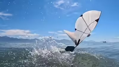 300 gram mit robot that flies and swims just like diving birds.jpg