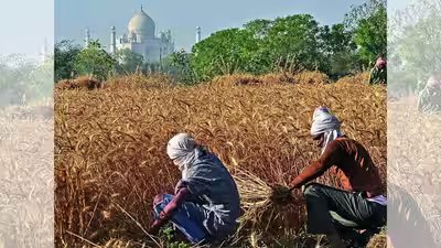 Agriculture data lapse.jpg