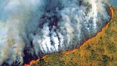 Amazon forest fires.jpg