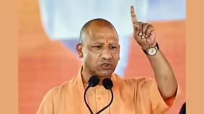 Cm yogi.jpg