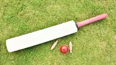 Cricket gen 3107 s.jpg