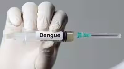 Dengue vaccine.jpg