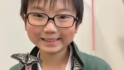 Did the butterflies remember him japanese students discovery uncovers astonishing insect memory .jpg