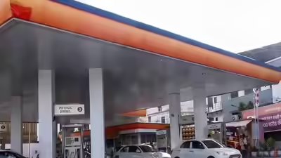 E20 petrol.jpg