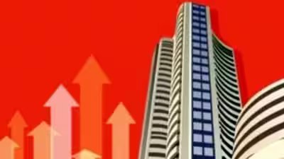 Fii inflows.jpg