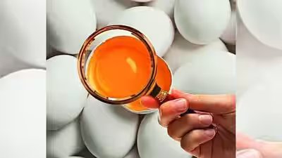Fssai notice to swiggy.jpg