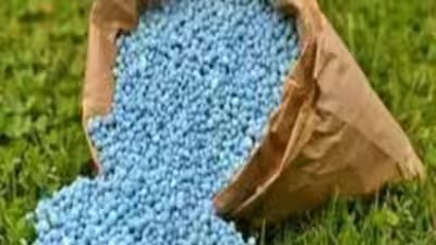 Govt has spent rs 70709 crore of the fertiliser subsidy allocated for 2026 27.jpg