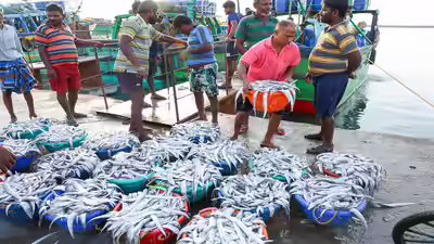 India safeguards billion dollar seafood and agri exports as eu tightens antibiotic norms.jpg