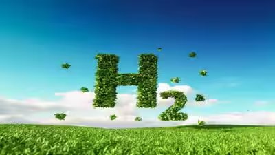 India39s renewable energy boom could make germany a customer for green hydrogen.jpg