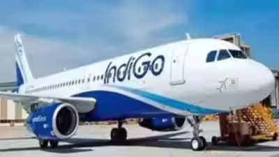 Indigo.jpg