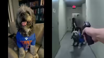 Jamesons owner has sued the city of los angeles after an lapd officer shot and killed the dog.jpg