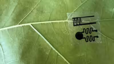 Leaf sensor.jpg