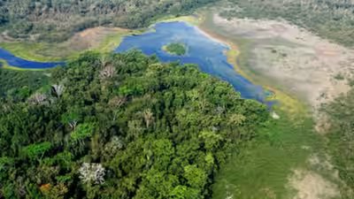 Maya biosphere reserve covers about 21 million hectares in guatemalas northern peten province.jpg
