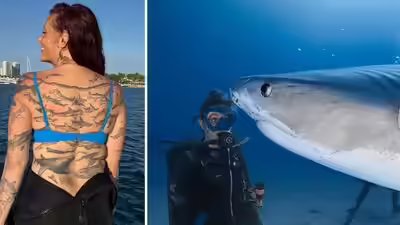 Meet emily morrison the marine biologist who sets a world record for 106 shark tattoos.jpg