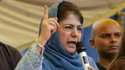 Mehbooba mufti on pellet gun.jpg