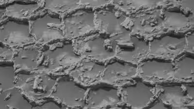 Nasas mars rover curiosity.jpg
