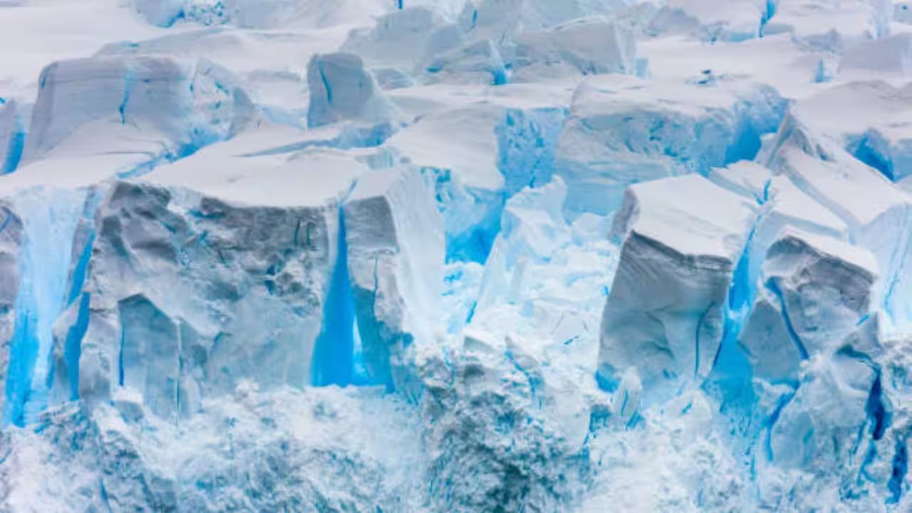 Natures anomaly.jpg