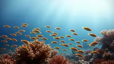 Ocean warming has been shrinking marine animals for 450 million years massive study reveals.jpg