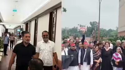 Opposition appears in black.jpg