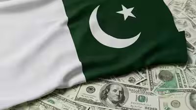 Pakistan39s reserves get foreign funding.jpg